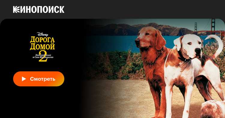 Главные актеры и их роли в фильме