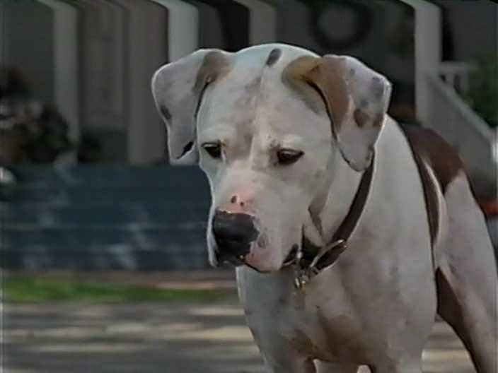 Сюжет фильма: краткое содержание и ключевые моменты