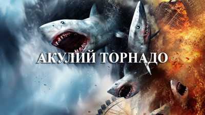 Анализ главных героев и их ролей