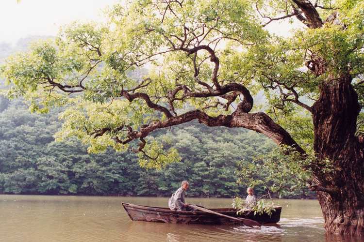 Музыка и звуковое оформление как часть общей атмосферы