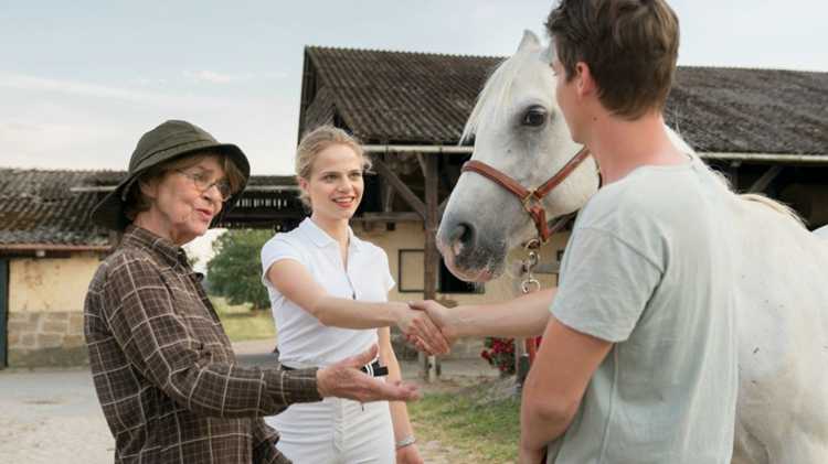 Проблемы и положительные аспекты сценария